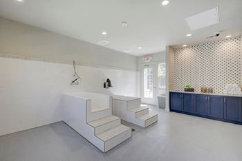 Pet-friendly community with dog park & dog wash